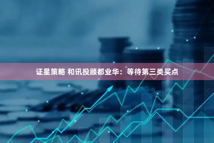 证星策略 和讯投顾都业华：等待第三类买点